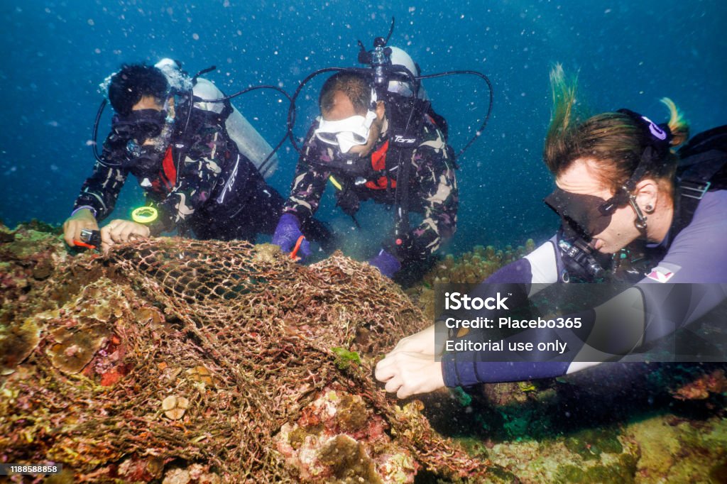 Marine Life Protection