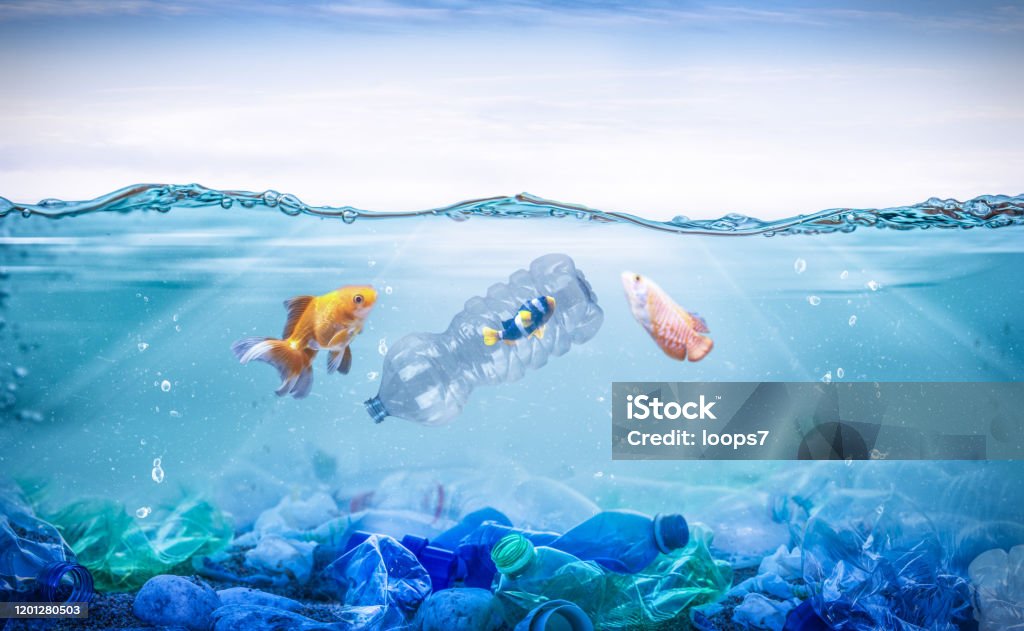 Plastic Waste Reduction